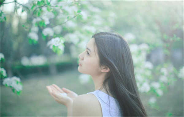 寿宁验血查男女几周可以验(验血查男女结果图)